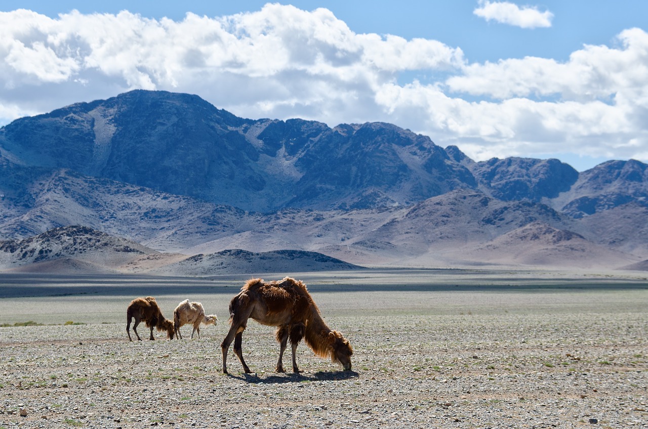 Mongolia